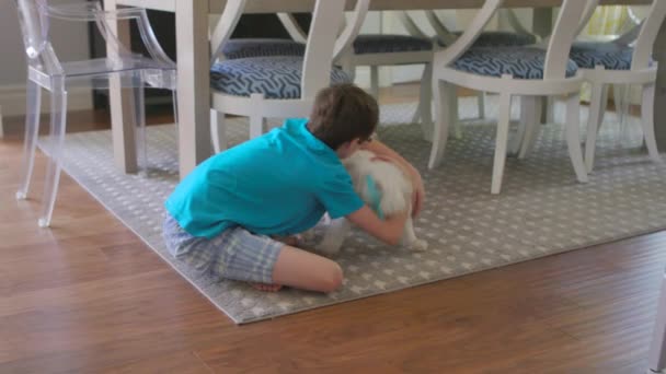 Милый Маленький Мальчик Обнимает Собаку Потом Гонится Ней Обеденным Столом — стоковое видео