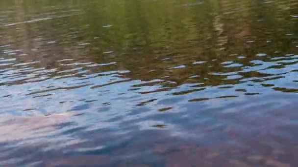 Vagues Eau Dans Lac — Video