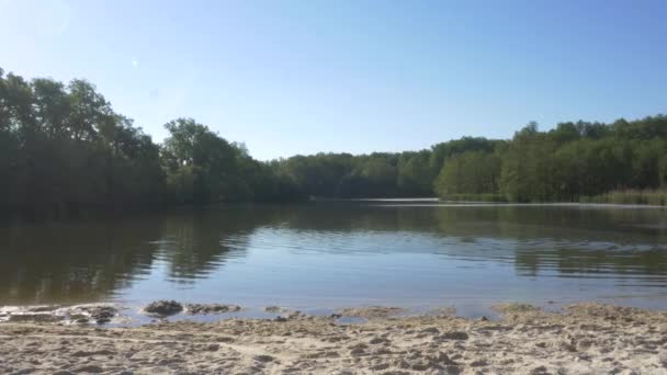 中央ヨーロッパに位置する穏やかな湖 — ストック動画