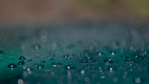 Капли Воды Стекают Стеклу После Дождя — стоковое видео