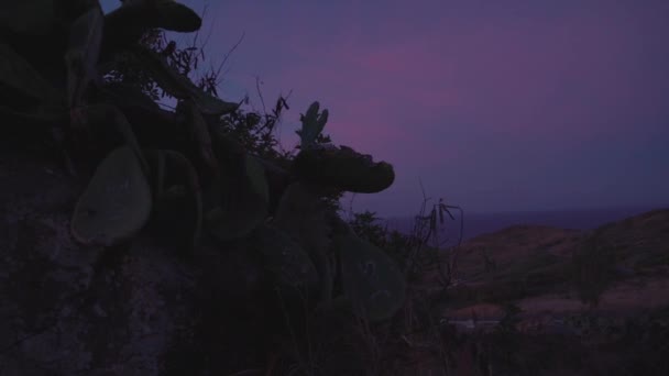 Pan Shot Cielo Planta Camino Del Faro Makapuu — Vídeos de Stock