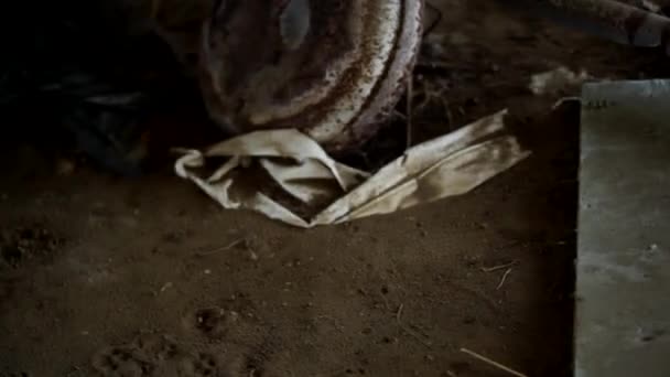 Dit Zijn Beelden Van Een Verlaten Kippenboerderij Het Meer Dan — Stockvideo