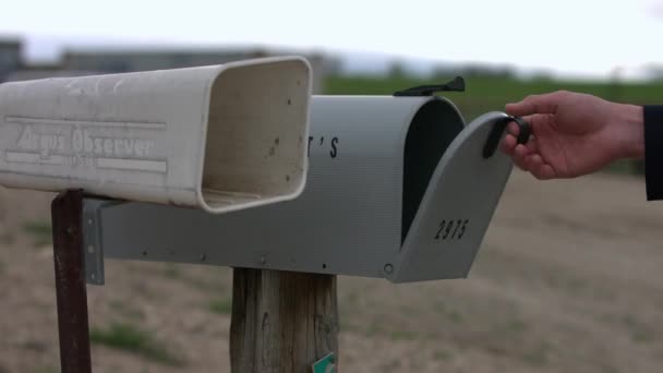 Une Vidéo Une Boîte Aux Lettres Grise Homme Ouvert Vérifié — Video