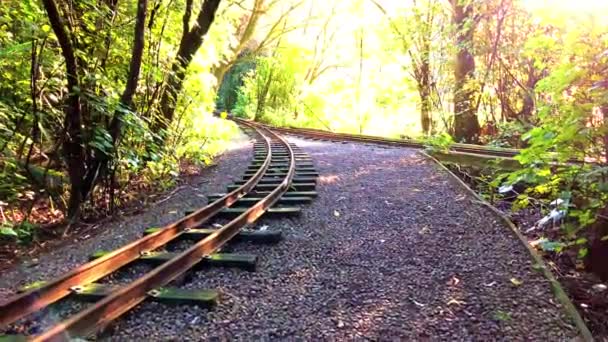 穿越灌木丛的微型火车轨道 — 图库视频影像