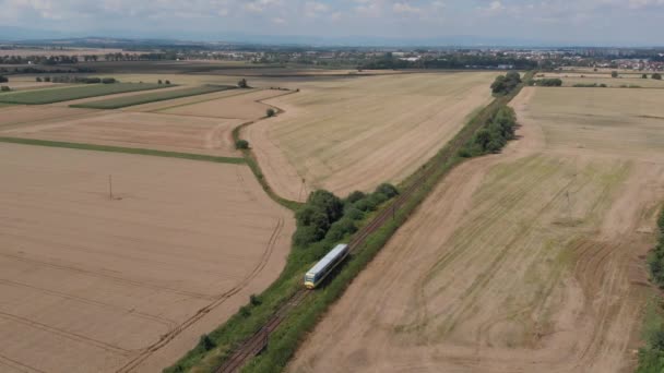 Ripresa Aerea Statica Del Trenino Che Attraversa Campo Grano — Video Stock