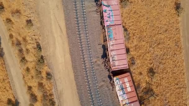 Caliente Californië Juli 2018 Een Ontspoorde Trein Ligt Langs Het — Stockvideo