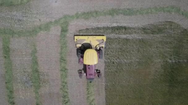 Feno Organizador Swather Vermelho Amarelo Linhas Lineares Calor Meio Dia — Vídeo de Stock