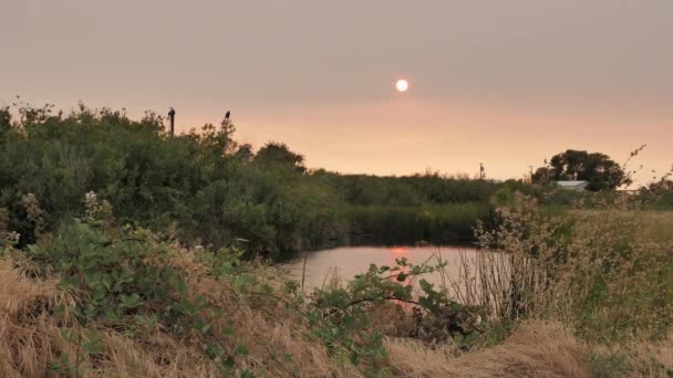 Smokey Rosa Colorido Pôr Sol Sobre Uma Enseada Big Break — Vídeo de Stock