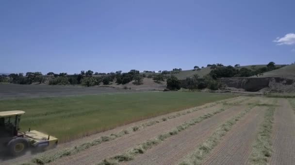 日中の熱で線形の行に干し草を整理赤と黄色の天気 — ストック動画