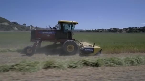 Fourchette Rouge Jaune Organisant Foin Rangs Linéaires Chaleur Milieu Journée — Video