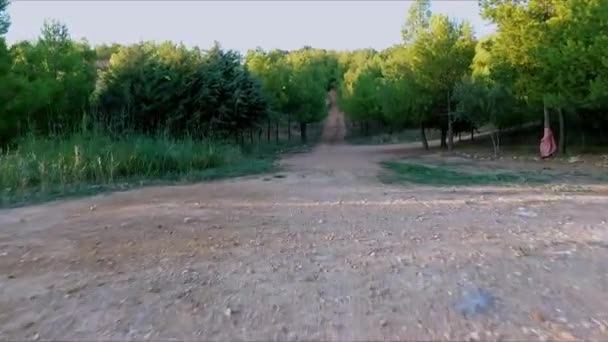 Correndo Floresta Rápido Atingido Com Drone Fantasma Perspectiva Primeira Pessoa — Vídeo de Stock