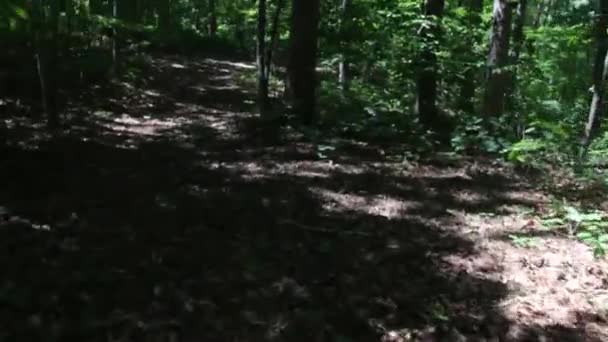 在森林里疯狂奔跑 — 图库视频影像