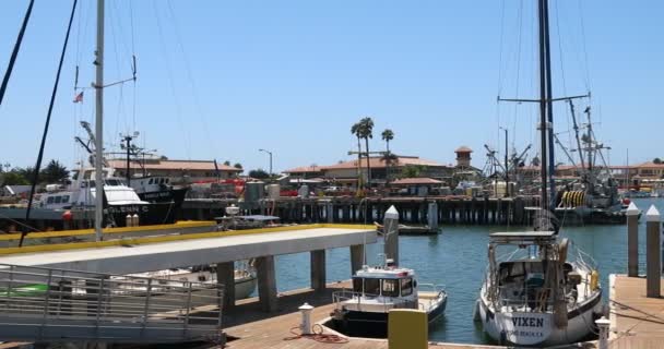 Boot Hafen Von Ventura California — Stockvideo