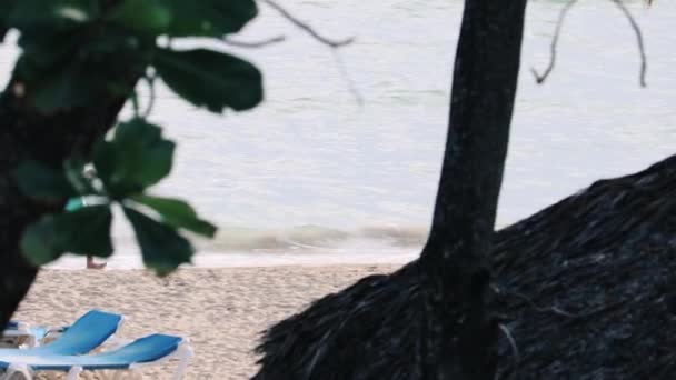 Homem Correndo Uma Praia Perto Oceano Exercitando — Vídeo de Stock