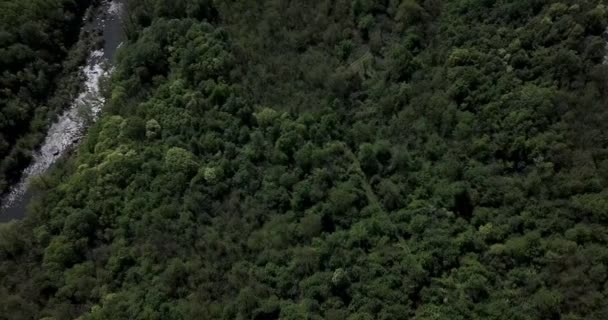 欧洲一座古老的修道院和覆盖着绿色森林和岩石悬崖的乡村一侧的图像 — 图库视频影像