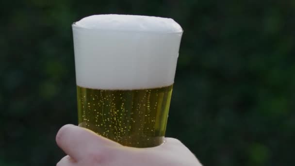 背景がぼやけているビールの充填ガラスを上げるスローモーションビデオ — ストック動画