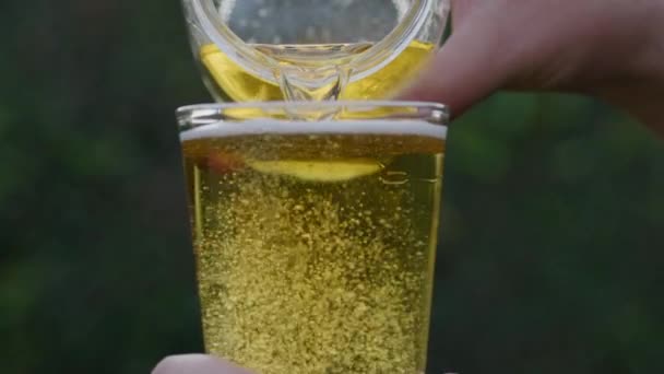 Slow Motion Übertragung Von Bier Aus Einem Glas Ein Glas — Stockvideo