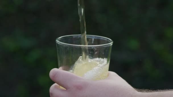 Slow Motion Versando Birra Bicchiere — Video Stock