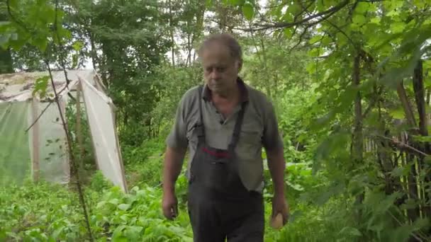 Jardineiro Velho Caminha Através Sua Horta Pára Para Olhar Redor — Vídeo de Stock