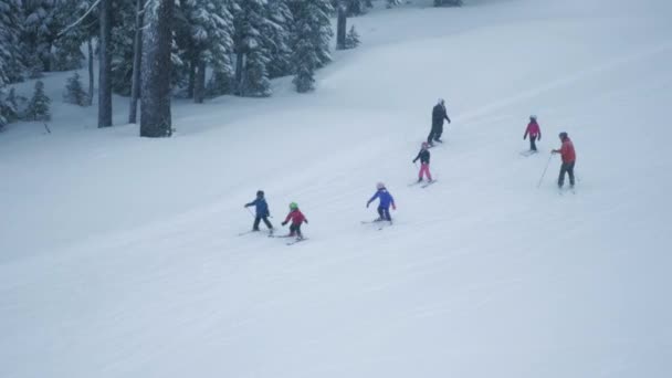 Escuela Esquí Licenciado — Vídeo de stock