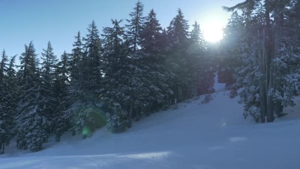 Skier Горі Входить Рамку — стокове відео