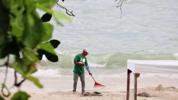 Człowiek Grabi Plaży Pełnej Liści Sprząta — Wideo stockowe