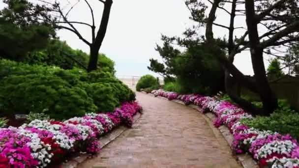 Mooie Loopbrug Voor Het Strand Bekleed Met Bloemen — Stockvideo