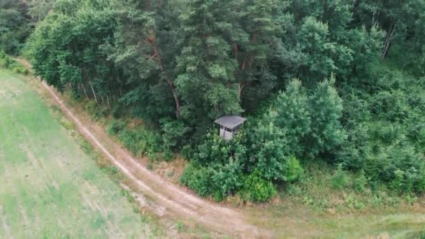 ポーランドで狩猟を始めた ドローン 空中から撃たれた — ストック動画
