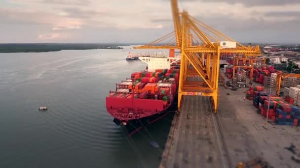 Antenne Abflug Von Einer Verladestation Mit Frachter Entladung Während Schnellboot — Stockvideo