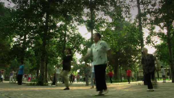 Timelapse Tai Chi Chuan Session Park Peking Kina — Stockvideo