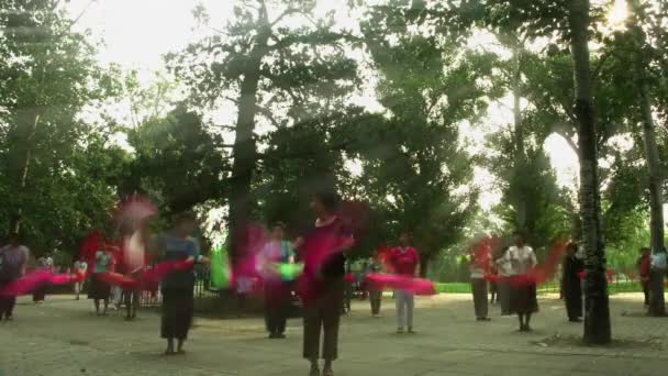 Timelapse Tai Chi Chuan Session Park Peking Kina — Stockvideo