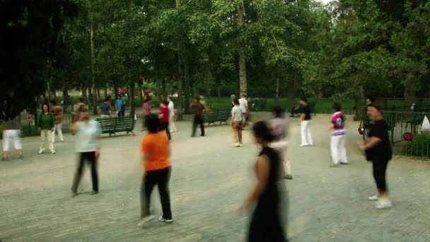 Timelapse Tai Chi Chuan Session Park Peking Kina — Stockvideo
