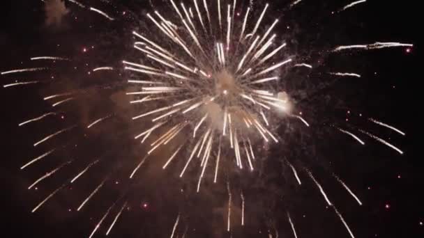 Fuegos Artificiales Cámara Lenta Las Cataratas Del Niágara — Vídeo de stock