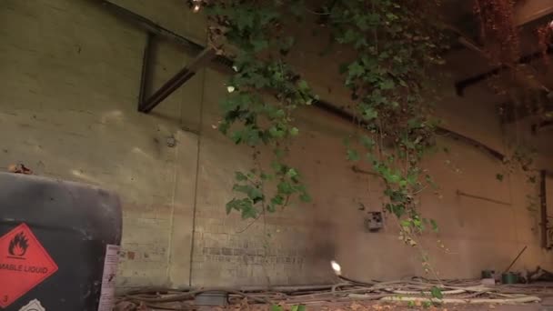 Pemandangan Sebuah Aula Ditinggalkan Dengan Barel Dan Tanaman Tumbuh Dari — Stok Video