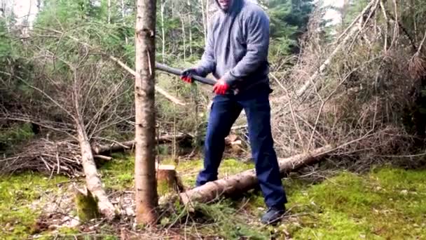 Mann Macht Holzschnitt Kanada — Stockvideo