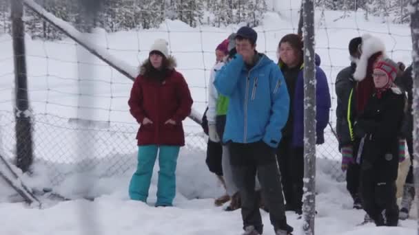 Der Jugend Die Rentierzucht Beibringen Jugendliche Lernen Wie Man Rentiere — Stockvideo