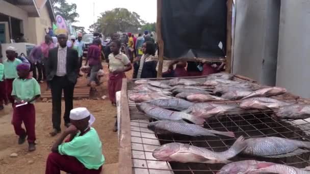 Färsk Fisk Torkar Bondemarknad Afrika Med Stor Skara Afrikaner Som — Stockvideo