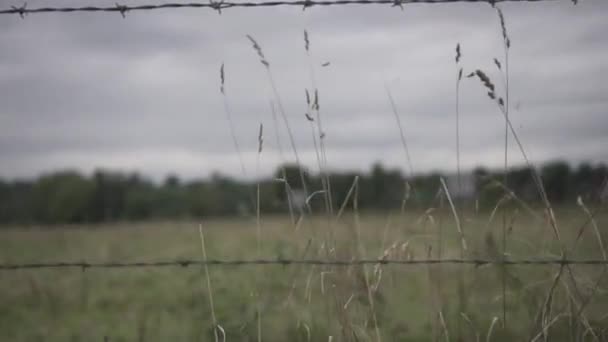 Camión Tiro Vallas Campo Día Nublado — Vídeos de Stock