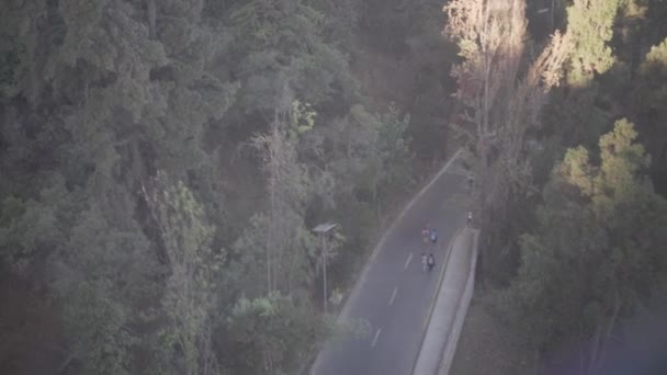 Vista Aérea Del Parque Tranvía — Vídeos de Stock