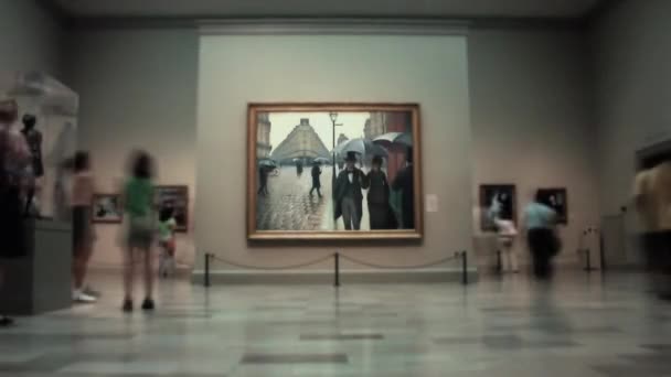 Timelapse Exposição Museu Arte Chicago Illinois — Vídeo de Stock