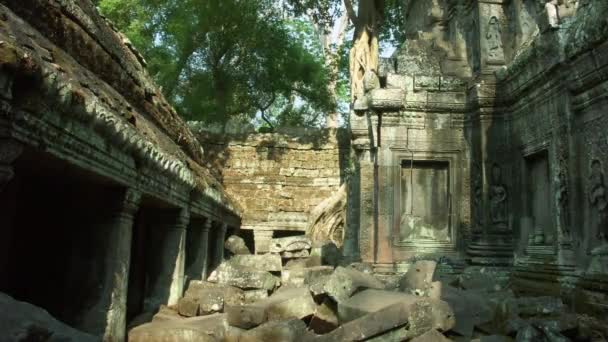 Время Дня Заката Prohm Cambodia — стоковое видео