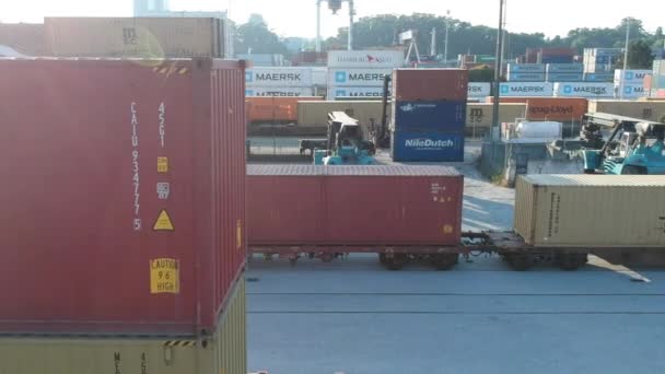 Seitenflug Beim Beobachten Der Container — Stockvideo