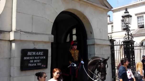 Paardenwachters Whitehall Zonnige Dag — Stockvideo