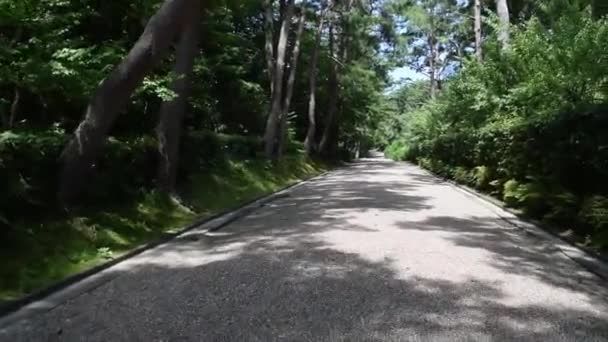 Wandelen Een Afgelegen Weg Vol Rotsen Natuur — Stockvideo