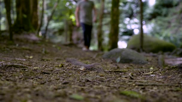 Primo Piano Delle Scarpe Hipster Che Cammina Nella Foresta Nera — Video Stock