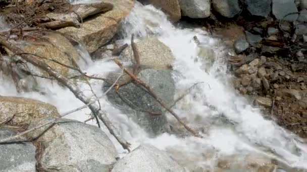 Snel Stromende Stroom Rotsen Sequoia Nationaal Park Een Heldere Zonnige — Stockvideo