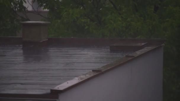 Small Hail Rooftop Heavy Rain — Stock Video