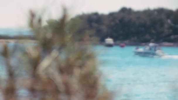 Затемнення Різною Зміною Фокусу Приморській Зоні Хорватії Присутність Човнів Соснових — стокове відео