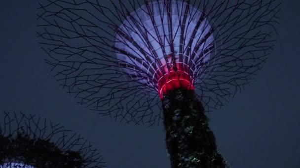 Panning Supertrees Gardens Bay Singapura — Vídeo de Stock