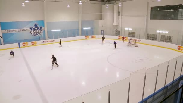 Jugadores Hockey Patinando Sobre Hielo — Vídeos de Stock